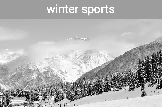 Zimnošportová anglická slovná zásoba